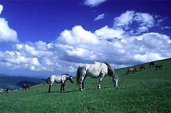 Agriturismo Poggio Duca リミニ 0*,
